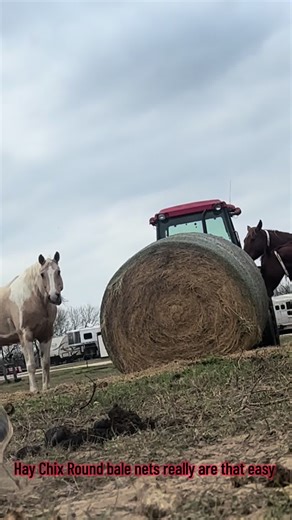 Effortless Hay Management with Hay Chix Round Bale Nets