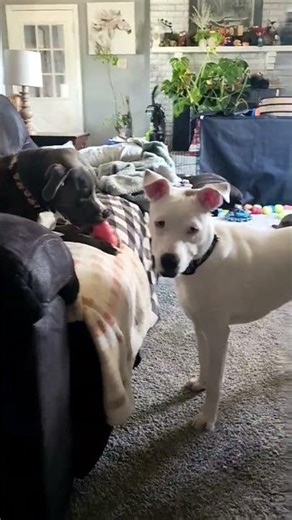 baby it's cold outside.....so we play indoors