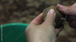 woman is cooking. close-up female hands gills potatoes over bucket on dark background. process concept, free space
