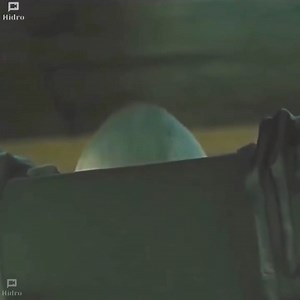 BEST NEW FILM NETFLIX 2024 | Architect X