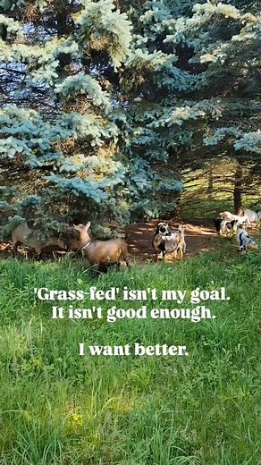 I get the 'grassfed' movement, but if we aren't careful, we miss the point. That without full understanding, it's just another tag line. We have started receiving interest in our herdshare from people who I dont personally know. Its great to see it building! With that though, comes well intended, but only partially informed understandings. • I was asked if our goats are 100% grassfed. Thid person had no interest in a raw goat milk herdshare if the goats weren't entirely grassfed. Well, no. They 