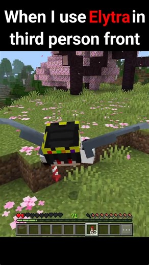 why you never fly in front view... 💀 #shorts