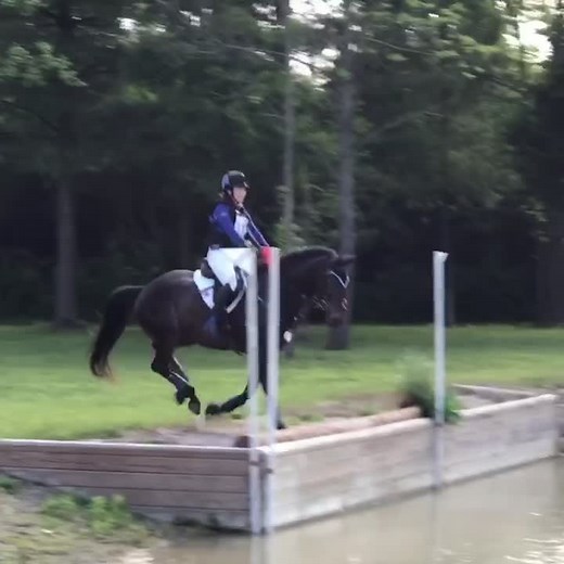 Ash│Books & Horses on TikTok