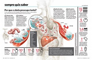 SAÚDE Mag | Infographics, Data Visualization & Motion - May Tanferri