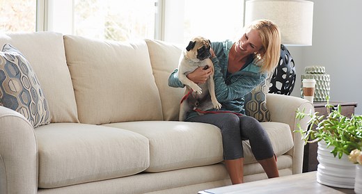 Best Sofa Fabrics for Dogs and Cats