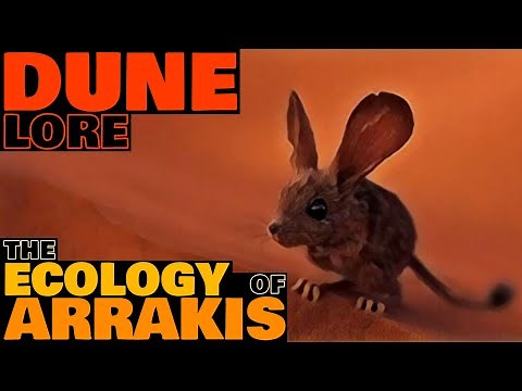 The Ecology of Arrakis | Flora & Fauna | Dune Lore