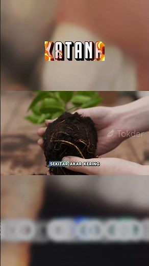 4 Merk Pupuk NPK Fase Generatif Manjur 100! Cocok di Musim Kemarau