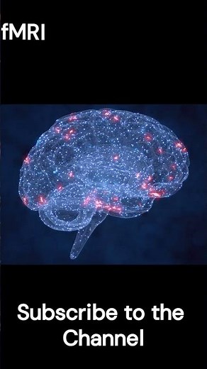 AI can read our minds | Osaka university | Images reconstruct from MRI scans using stable diffusion