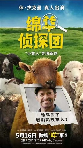 谁能想到！破案的居然是一群羊🐑 《绵羊侦探团》定档5.16 天天听侦探小说的绵羊组团追凶，一边软乎乎卖萌，一边硬核推理破案，画风治愈、剧情烧脑、笑点密集，反差感直接拉满！#绵羊侦探团