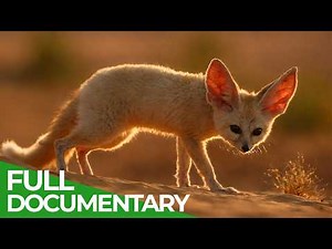 Bucket List: Africa - The Ultimate Journey | Free Documentary Nature