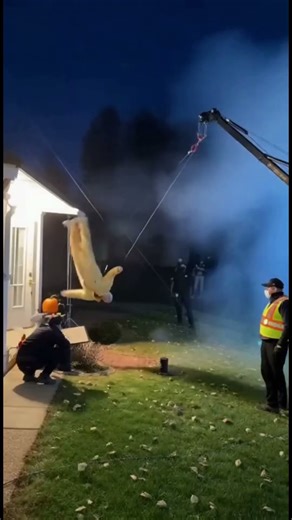 Grandpa Squirrel Explosion Behind-the-Scenes #animals #caughtoncameravideos #behindthescenes