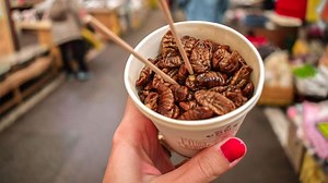 Why so many people find eating insects disgusting