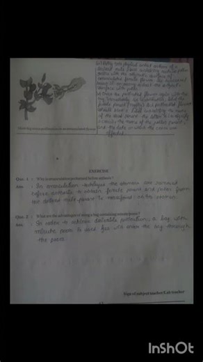 class 12th bio practical 12 Aim : To perform emasculation, bagging and tagging for controlled ....