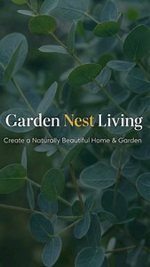 Pruning apple trees doesn’t have to be complicated. In this step-by-step guide, I’ll show you exactly how to prune an apple tree in winter to improve tree health, increase light into the canopy, and grow better-quality fruit. This video covers the essentials of UK apple tree pruning, including when to prune, what to remove first, how to open up the canopy, and how to manage growth without stressing the tree. Whether you’re pruning a young apple tree or maintaining an established one, these winte