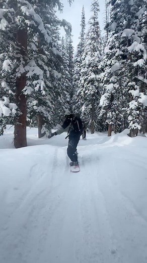 119K views · 18K reactions | Tree Run Season is almost back!!! #snowboarding | Nitro Snowboards | Facebook