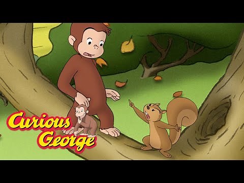 Curious George 🌰 The Nuts Mystery 🌰 Kids Cartoon 🐵 Kids Movies 🐵 Videos for Kids