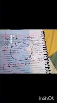 cell cycle.....#shortvideo #biology #neetaspirents #trending #neet #education #viral