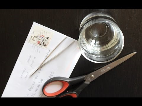 Comment décoller un timbre de son support