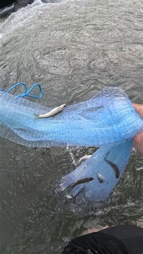 CAST NET ROCKET THROW! NET BLOWS UP WITH SNOW TROUT – INSANE CATCH! #fishing #shorts