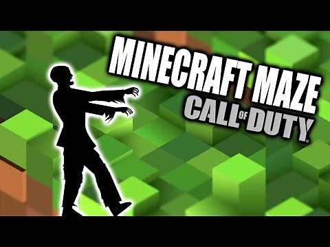 Crazy Minecraft Maze Zombies (Call of Duty Zombies Custom Map)
