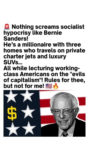 Bernie Sanders Debate Goes Viral 🇺🇸