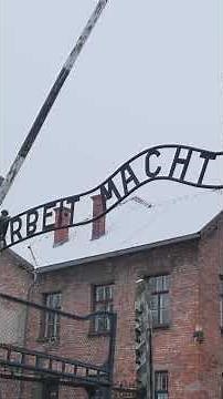 The Tattooist of Auschwitz: A Love That Defied Death