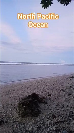 Beautiful New Ireland Province, PNG.🇵🇬🍃🫴🏾 #png #film #pngtuber #naturelovers