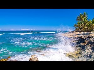 Study with Waves - Perla Marina Relaxing Ocean Sounds Background