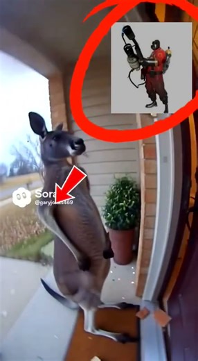 pyro roasts scout #teamfortess2