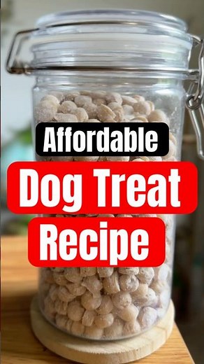 Affordable DIY dog treat recipe (my dog LOVES these!)