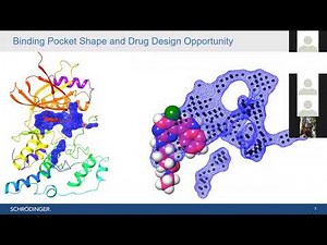 Site Map Prediction and Analysis, Molecular Docking