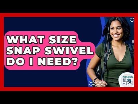 What Size Snap Swivel Do I Need? - Chasing Big Fish