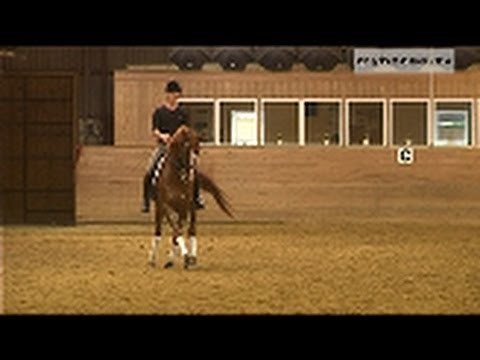 Dressurøvelse - Traversade