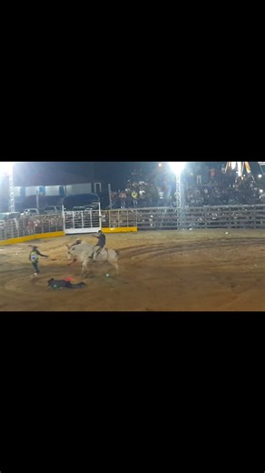 My First Trip to the Bonfim Rodeo. Did you know that Bonfim is a Brazilian municipality just next door to Lethem which share a very similar culture, population, and geography to Lethem? Bonfim, like Lethem, has its own annual Rodeo. It's actually called Rodeo Party. I was told by about ten persons in Lethem that the Bonfim Rodeo is actually "bigger and better" than the Lethem Rodeo and that it is the "real thing." So I decided to visit to see for myself. We reached the Rodeo ground at around 7:3