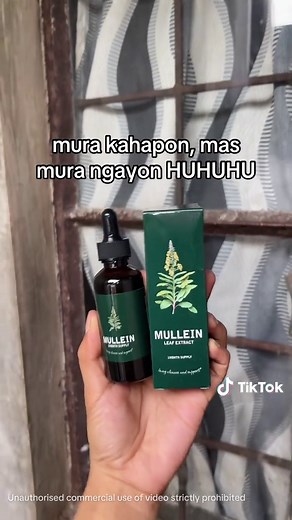 The Benefits of Mullein Leaf Extract