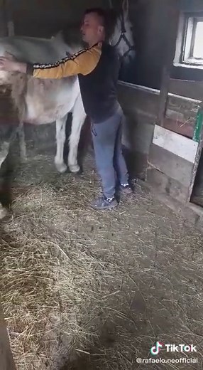 Videoclipuri postate de Mimi Sam (@silviu.cataliin) cu sunet original - Mimi Sam