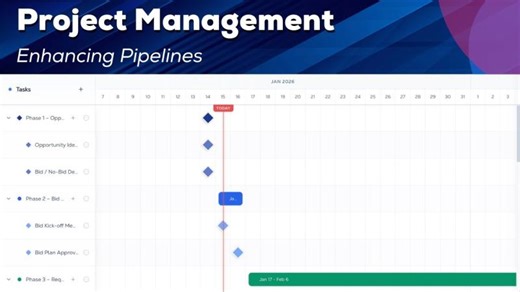 Project Management Enhancement with Biddy | BidScript LTD