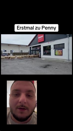 Einkaufen bei Penny: Tipps und Tricks für den Einkauf
