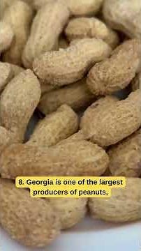 10 Amazing Facts About Georgia 🍑 | The Peach State