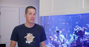 In this episode of our Hydros Series, Mark shows us how to configure the controllable outlets from Hydros. Join us as he walks us through setup step-by-step to level up this gear from a monitoring device to much more. | SaltwaterAquarium.com