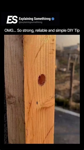 Explaining Somethinng on Instagram: "Standard hangers are often too flimsy to support heavy winter gear, and hanging clothes directly against a cold wall prevents them from drying or warming up properly. This is the Offset Tension-Pivot Mount, a brilliant "cabin-style" DIY hack that uses the structural rigidity of a heavy-gauge wire and a single nail to create a high-strength, cantilevered drying rack. The critical step is the torsional wrap-around anchor. Instead of just hanging a wire loop on