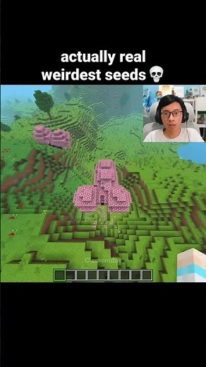 Minecraft Weirdest Seeds Moment
