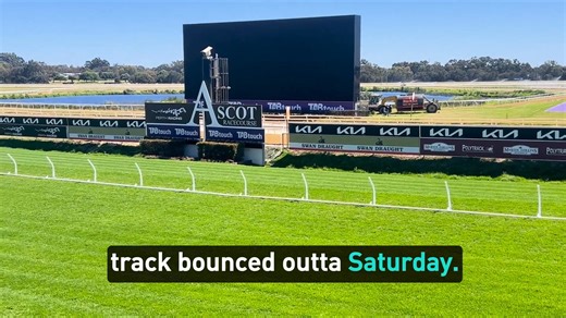 3.2K views · 11 reactions |  Head of Racing & Training Brock Neeling and Racecourse Manager Matthew Cork provide the latest Track Report ahead of TABtouch Melbourne Cup Day at Ascot tomorrow. Brock also shares insights on the Flemington track and a tip for the Melbourne Cup! Rail +10m Entire Weather Fine Track Condition Good 4 Rain Nil Last 24hrs, 7.6mm Last 7 Days Irrigation 8mm last 24hrs, 20mm last 7 days TABradio Racing WA Thoroughbred | Perth Racing | Facebook