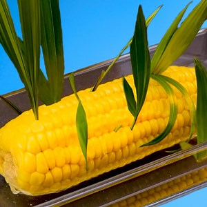 Easy gardening tips to make any plant grow!: | Green Bean