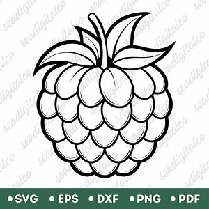Buy Raspberry Svg, Raspberry Outline, Raspberry Vector Clipart, Fruits Svg, Food Clipart, Svg Files for Cricut, Drawing Illustration, PNG & DXF Online in India - Etsy