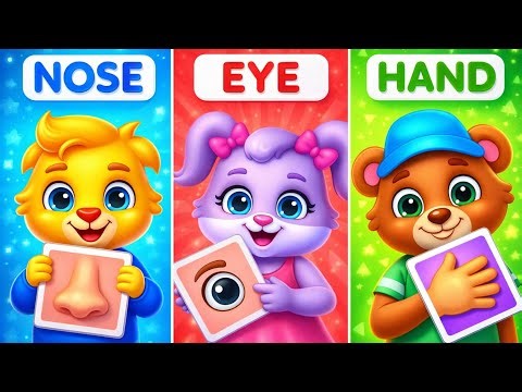 Body parts names song | learn parts of body | body parts rhymes for babies | toddlers learning songs
