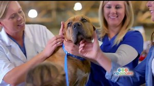 VIP Pet Care October Special TV Spot, 'Vaccines and Veterinary Care'