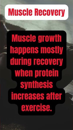 The Truth About Muscle Recovery #musclebuilding #recovery