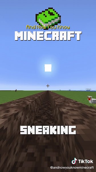 How Fast Can Steve SNEAK? 🐱‍👤 #fyp #foryoupage #minecraft #minecraftfacts #minecrafthacks #minecrafter #minecraftersoftiktok #minecrafters