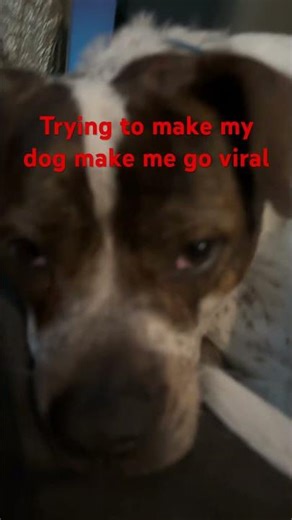 Can she make me go viral